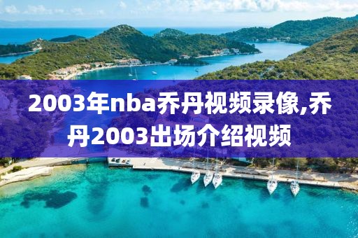 2003年nba乔丹视频录像,乔丹2003出场介绍视频