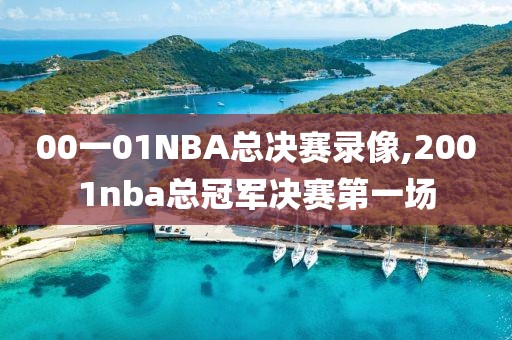 00一01NBA总决赛录像,2001nba总冠军决赛第一场
