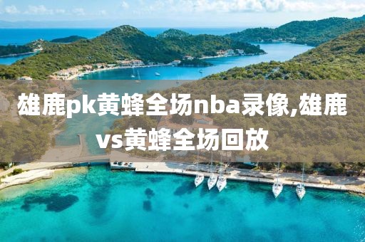 雄鹿pk黄蜂全场nba录像,雄鹿vs黄蜂全场回放