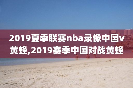 2019夏季联赛nba录像中国v黄蜂,2019赛季中国对战黄蜂